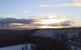 Harzoase im Panoramic